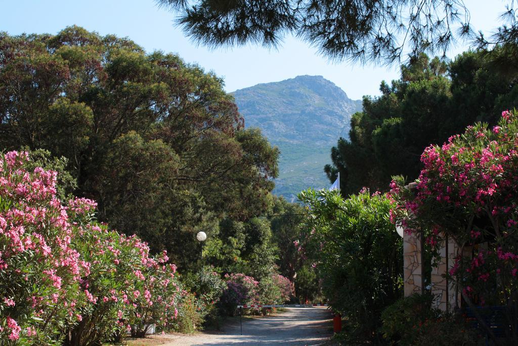 Camping Bella Vista Calvi  Exteriér fotografie
